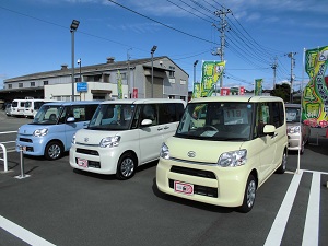 50号